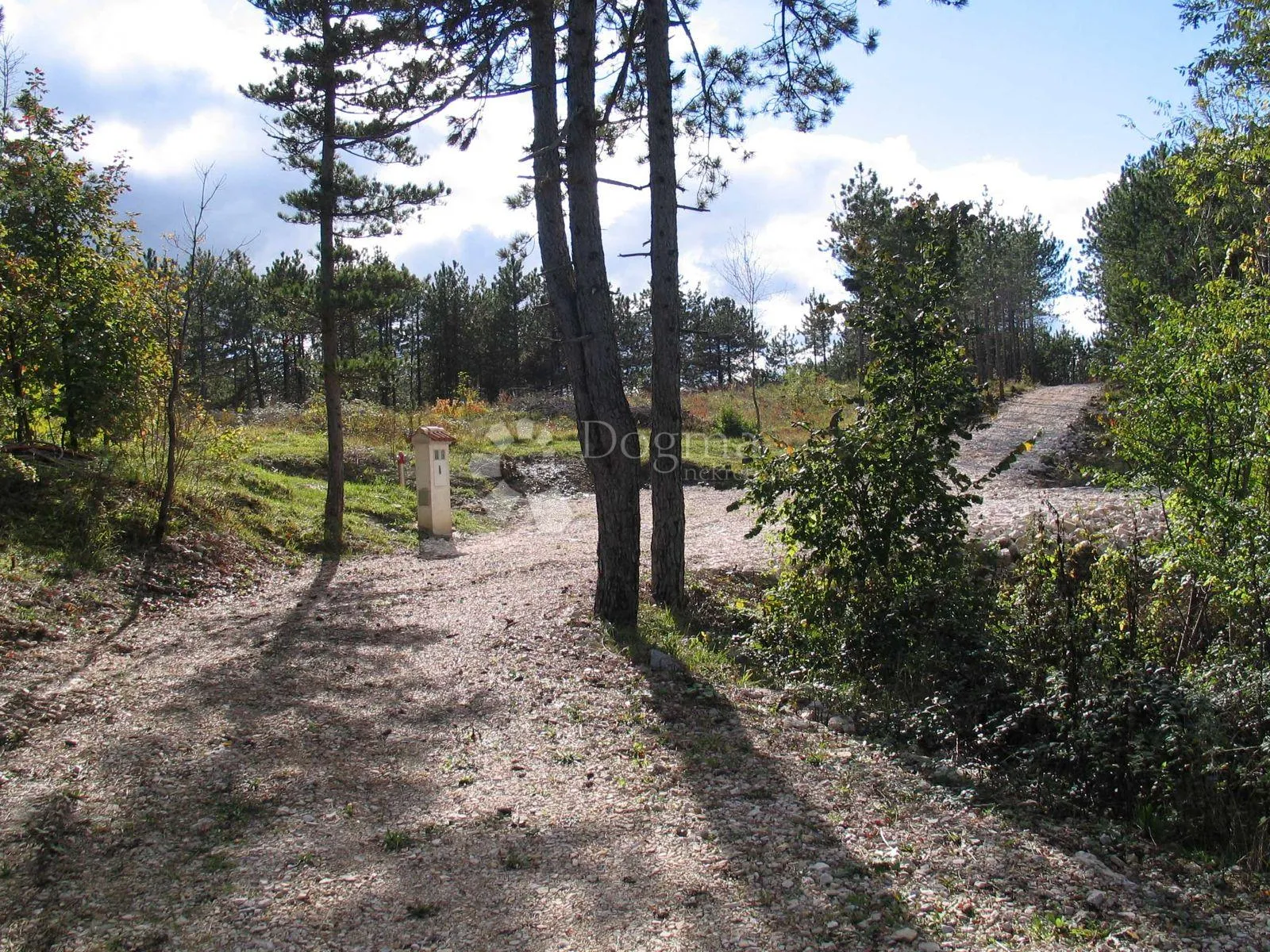 građevinsko zemljište (2000m2) s bogatom šumom (36789 m2) - slika 2