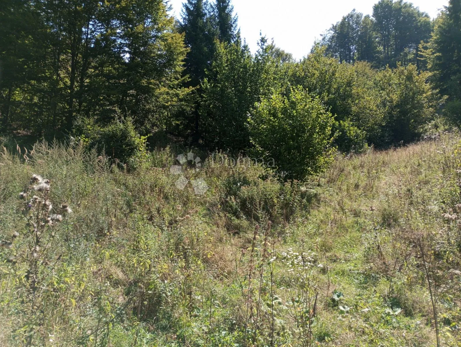 rijetka prilika gorski kotar, delnice 10.500 m2 zemljište za 9 a-frame vikendica - slika 3