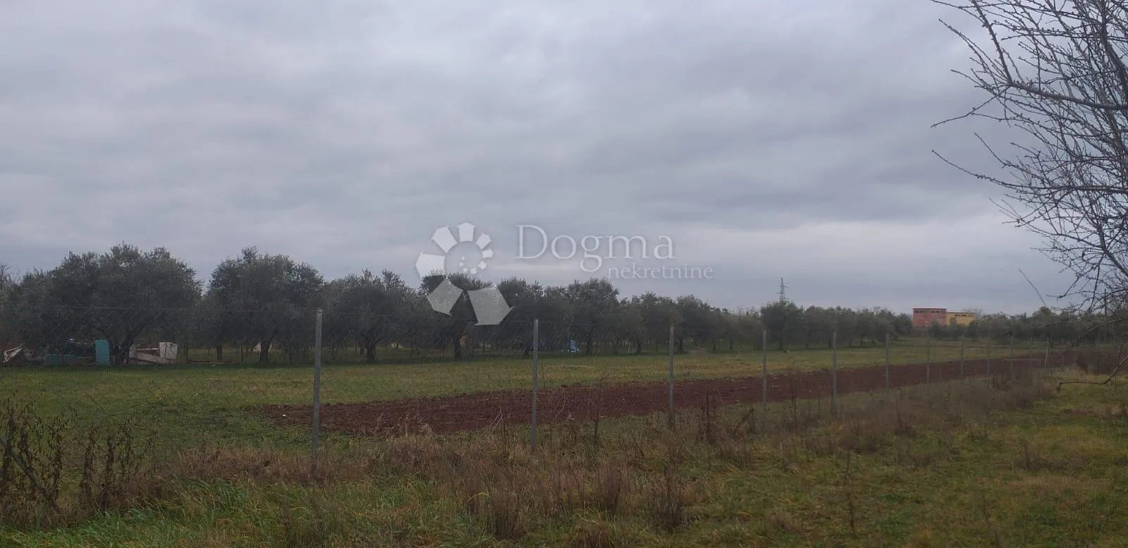 maslinik i lijepa parcela za uživanje - slika 3