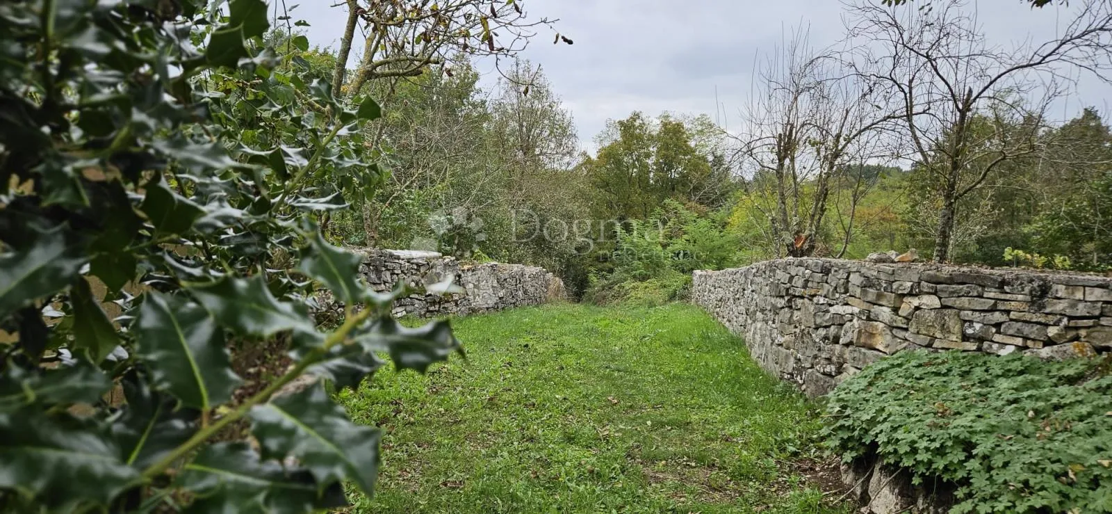 ekskluzivno kuća na osami, okružena šumom - slika 54