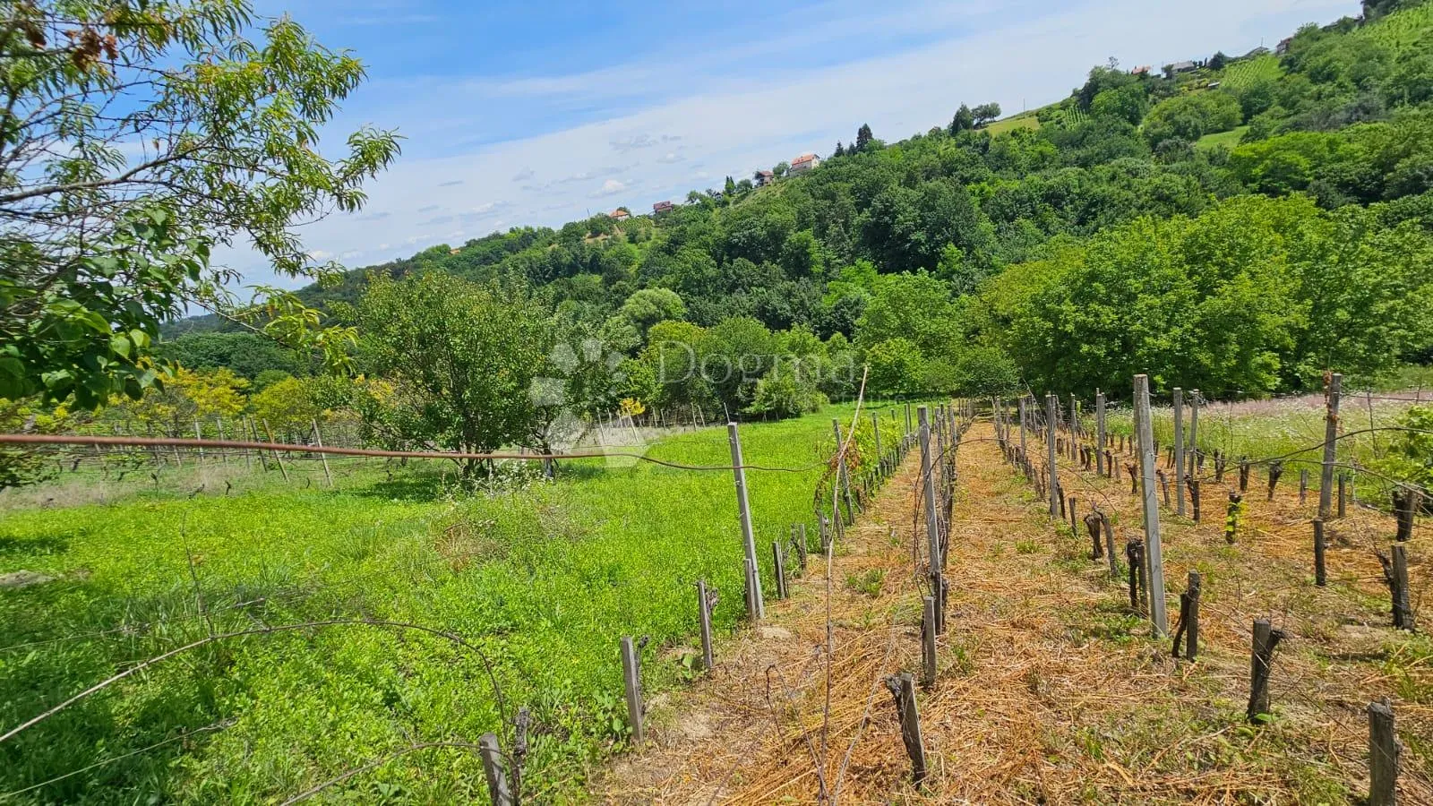 dvije kuće s pogledom u vrtlinovcu - slika 80