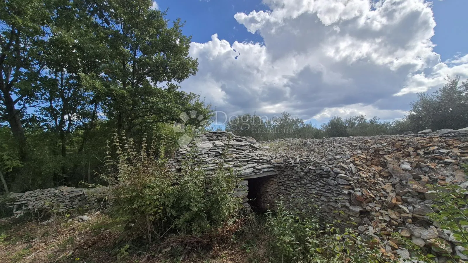 poljoprivredno zemljište sa kažunom površine 3550 m2 - slika 6