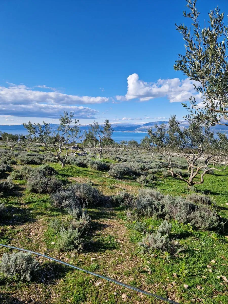 donji humac, zemljište za izgradnju opg-a, 12555 m2, pogled - slika 9