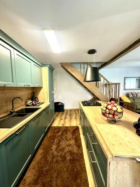 ravna gora, kuća s 4.500m2 okućnice - slika 24