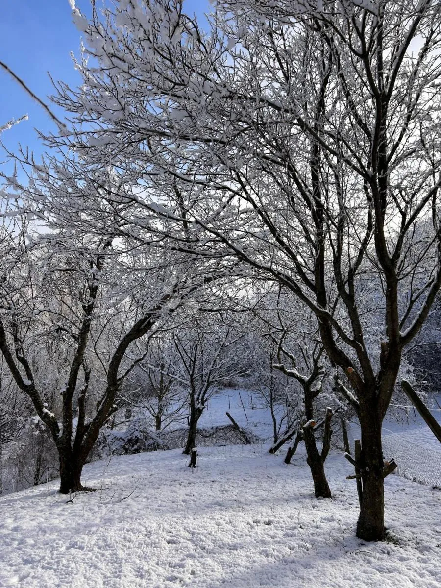 prekrasna kuća vlaškovec - slika 13