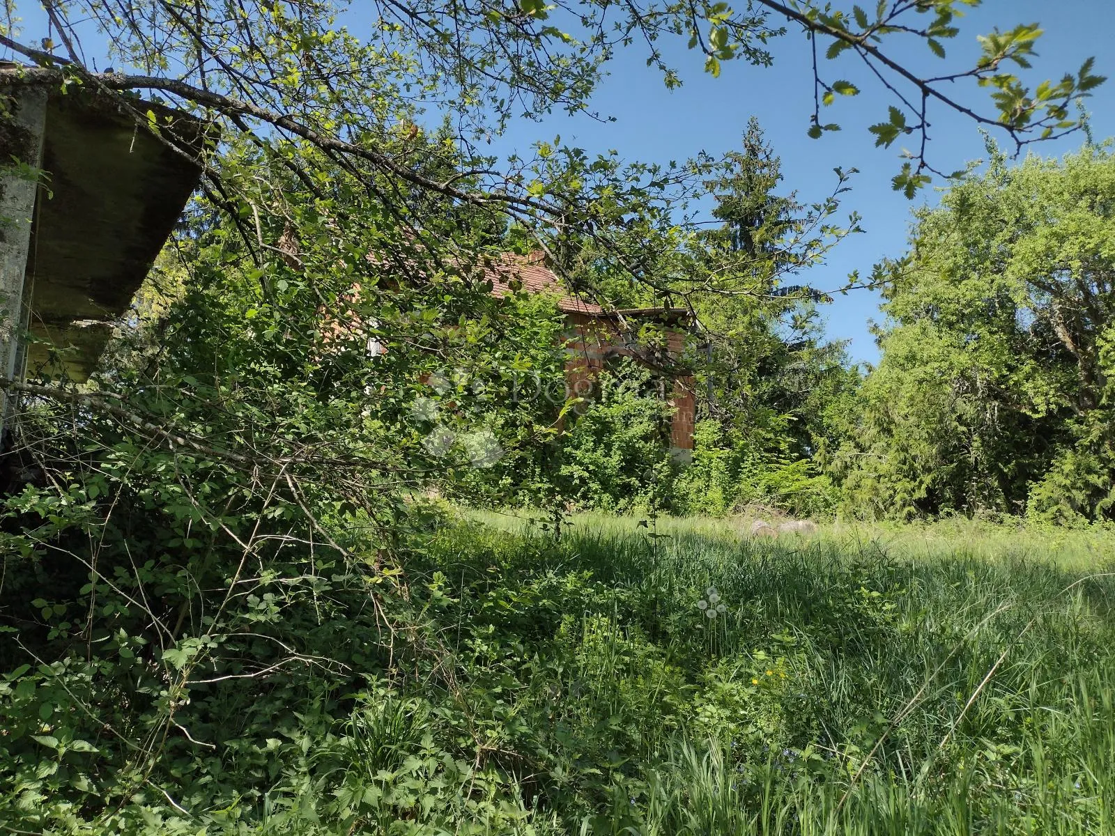 započeta gradnja na osami, izvor, 4ha - slika 7