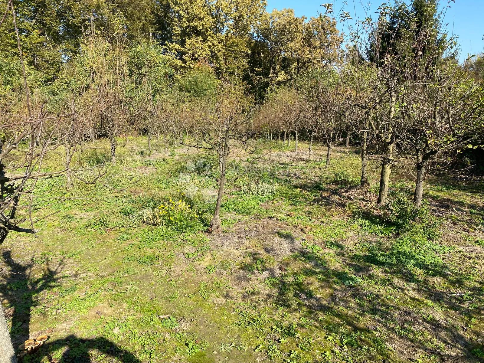super zemljište za vikendicu - črešnjevo - slika 4