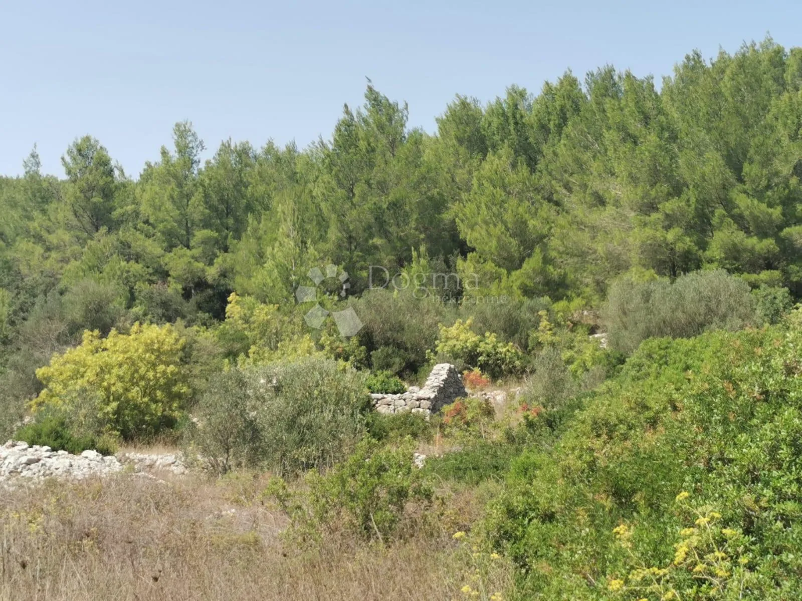 kamena kućica na poljoprivrednom zemljištu , atraktivno na mirnoj lokaciji, snižena cijena!! - slika 6