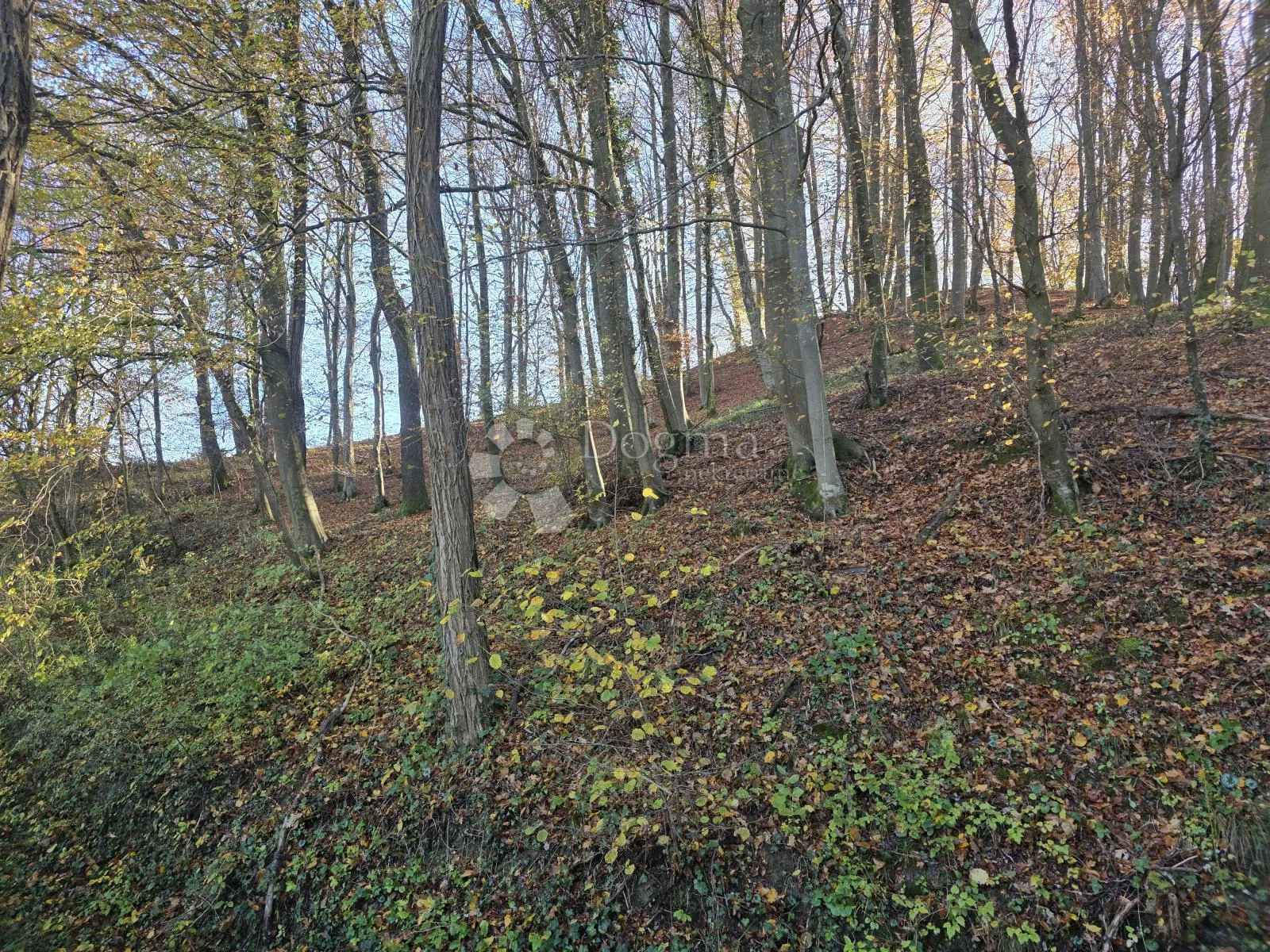 šuma i pašnjak 7.182m² u selnu kod krapinskih toplica - slika 6