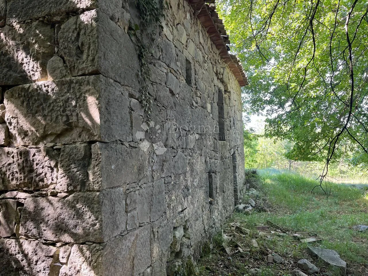 starina sa potencijalom za odličan prihod - slika 5