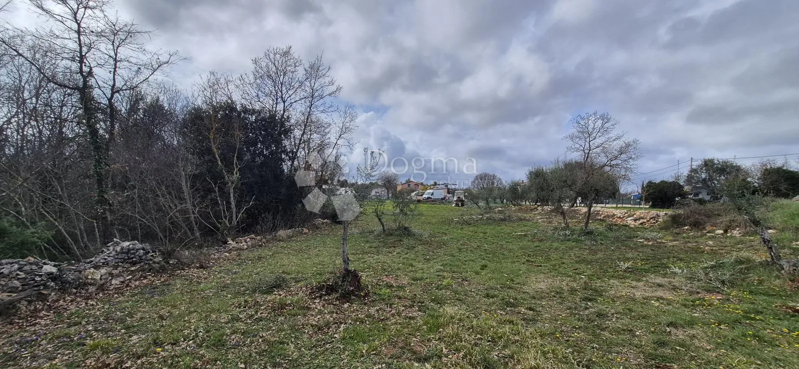 građevinsko zemljište na samo 1,5 km od mora sa 6 stoljetnih maslinama - slika 3