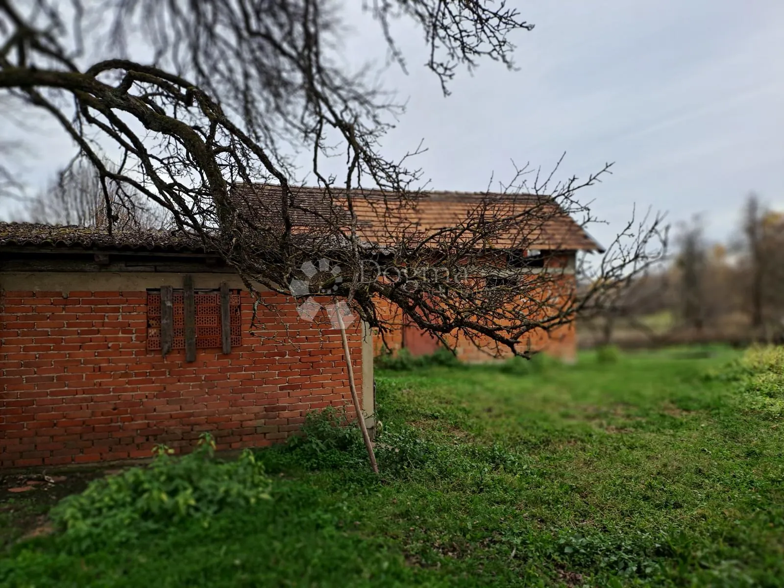 posjed s bunarom i dosta šume - slika 13