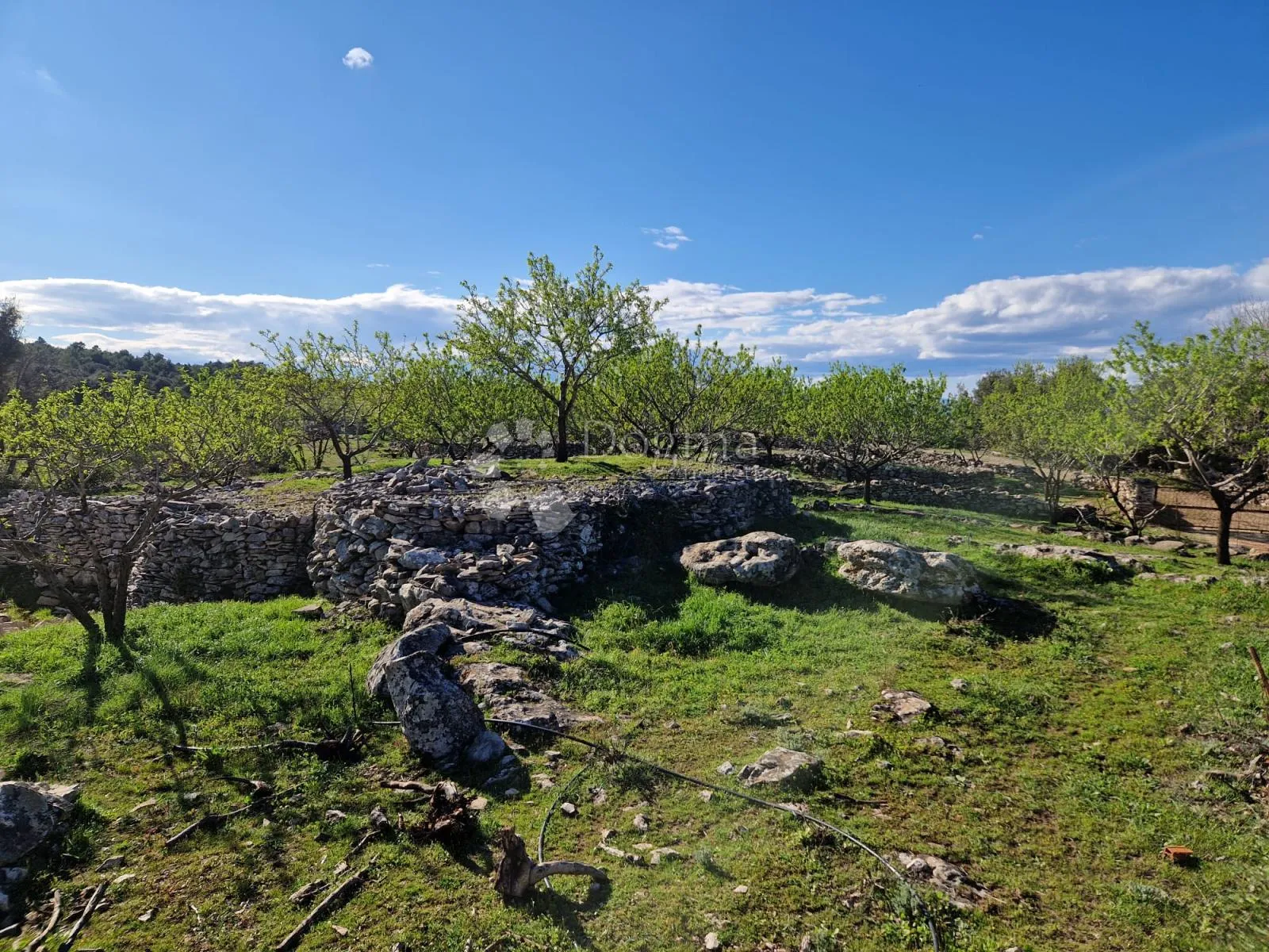 donji humac, zemljište za izgradnju opg-a, 10 630 m2, pogled - slika 10