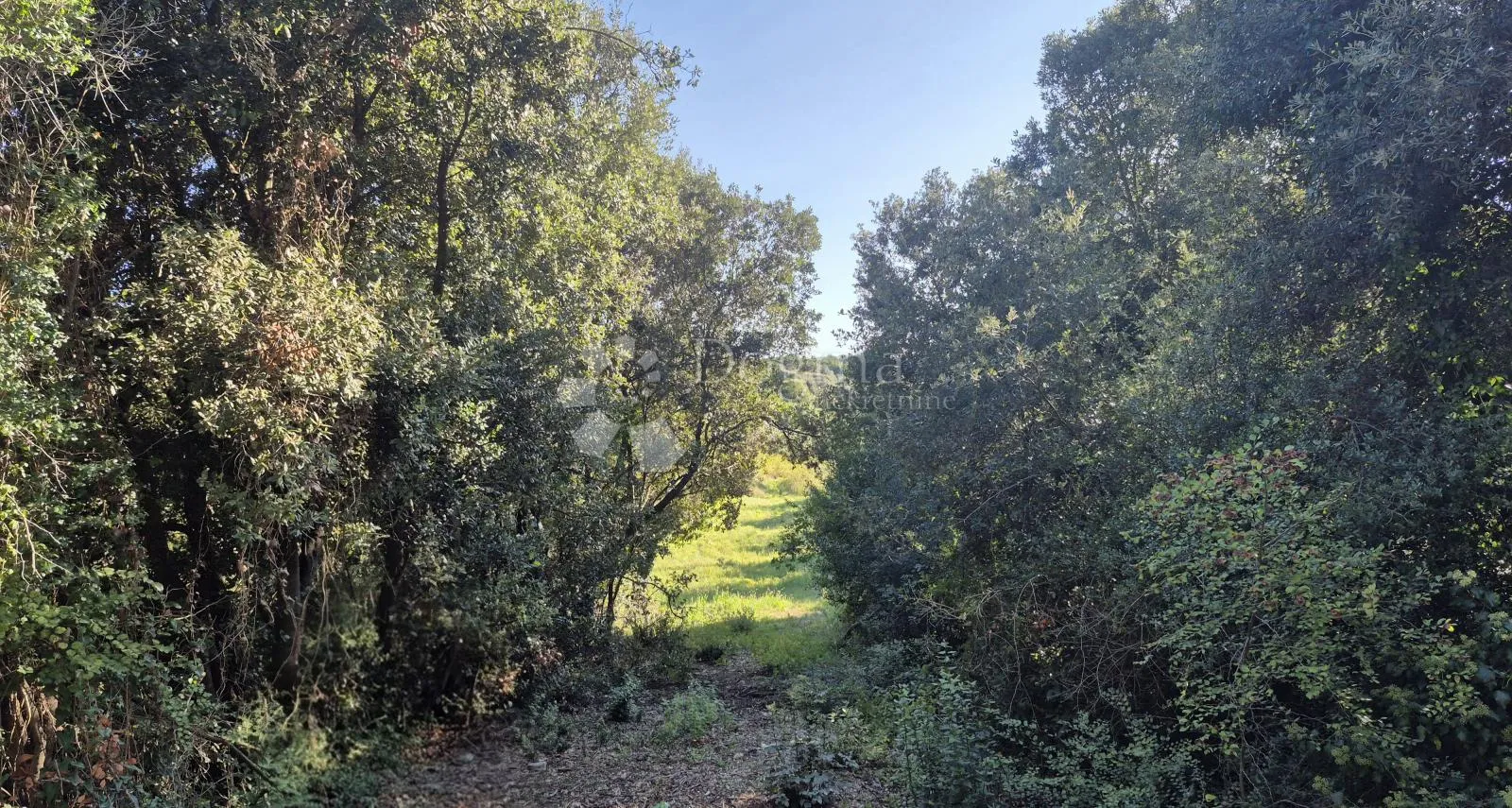 prodaje se građevinsko zemljište površine 1024 m2 - slika 5