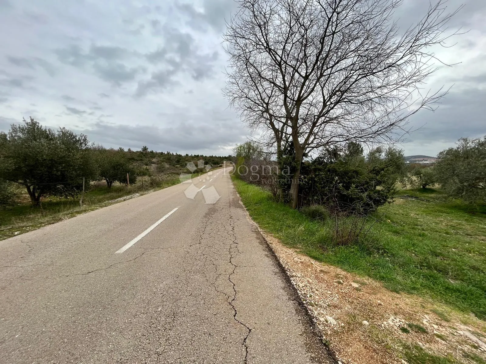 građevinsko zemljište 9.490 m² s maslinikom u rašteviću - slika 4