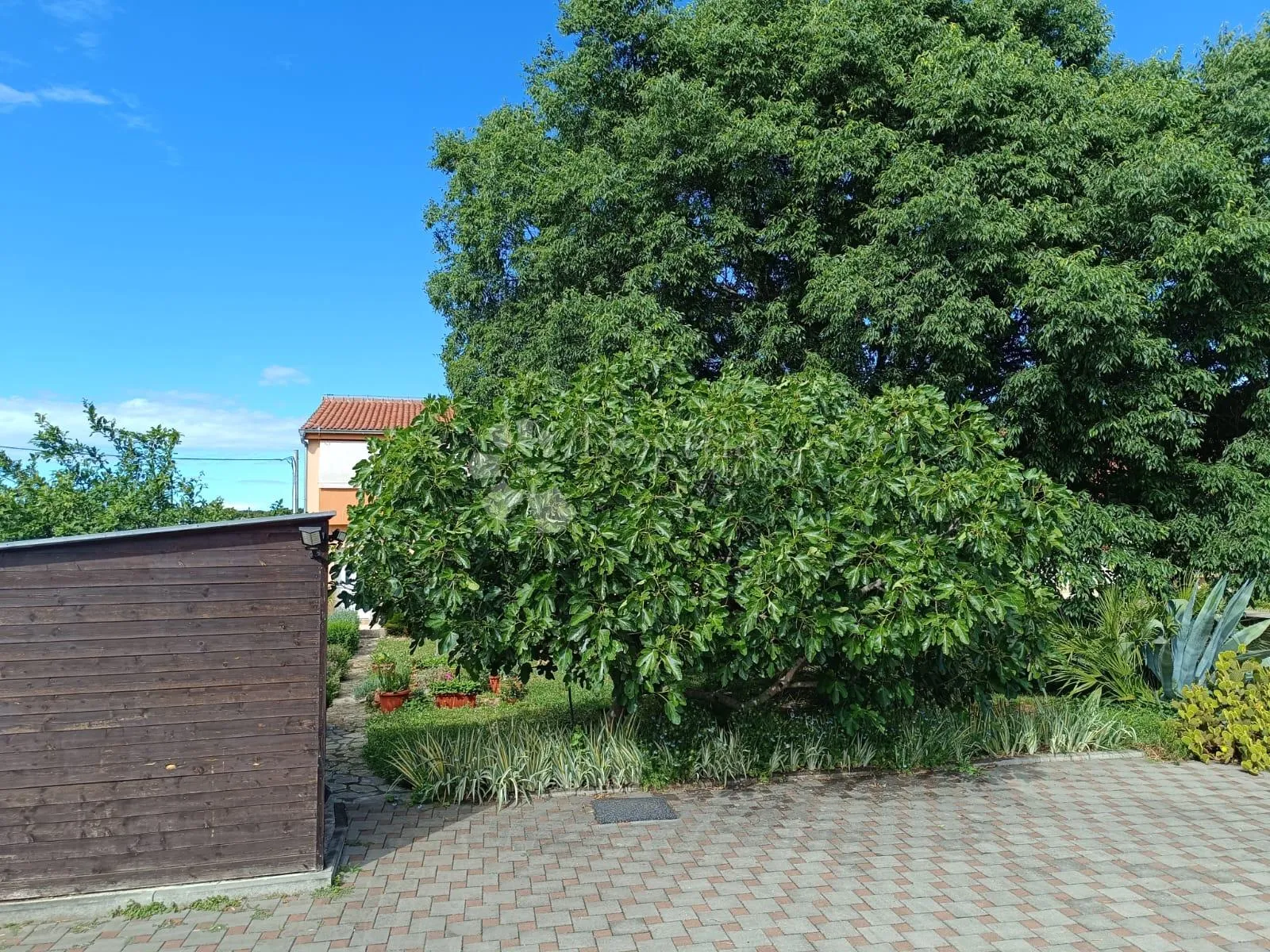 kuća za život i investiciju s prekrasnim vrtom - slika 12