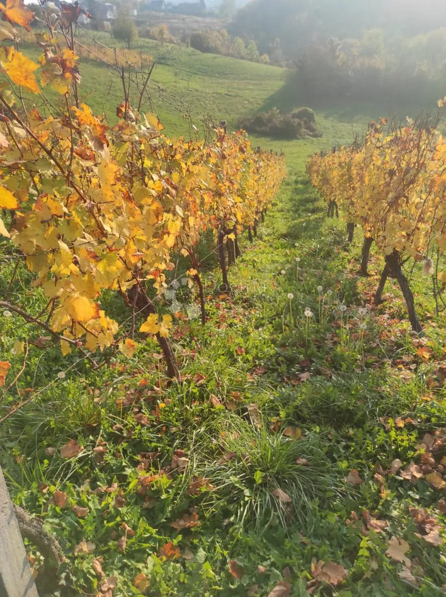 zemljište na top lokaciji - dugi vrh - slika 15