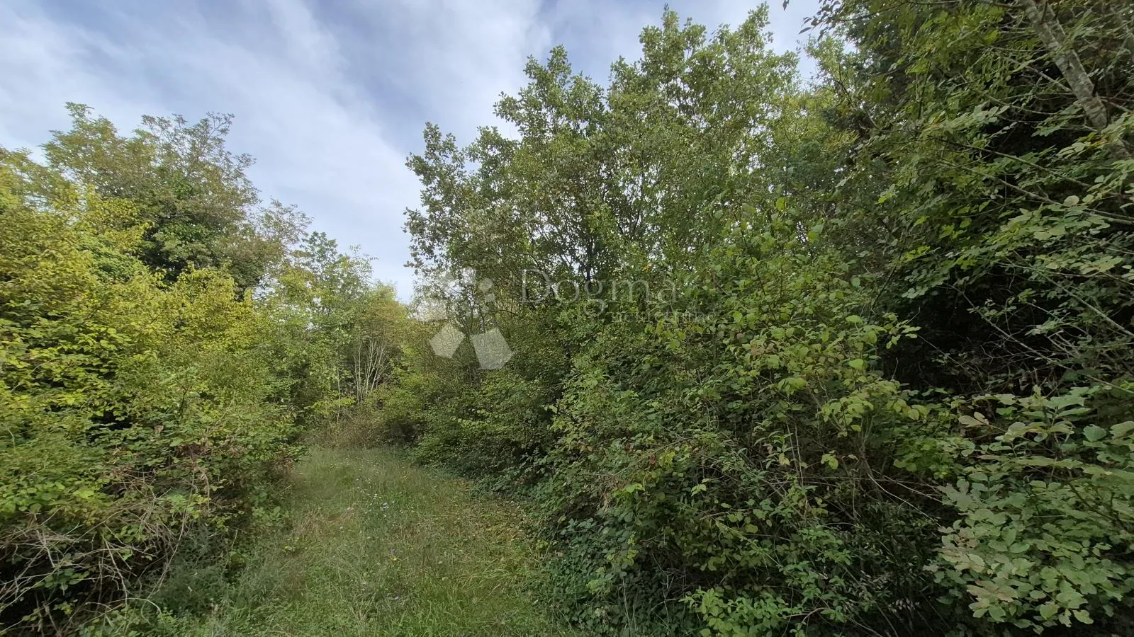 poljoprivredno zemljište 11.980 m2, 600 m od mora - slika 4