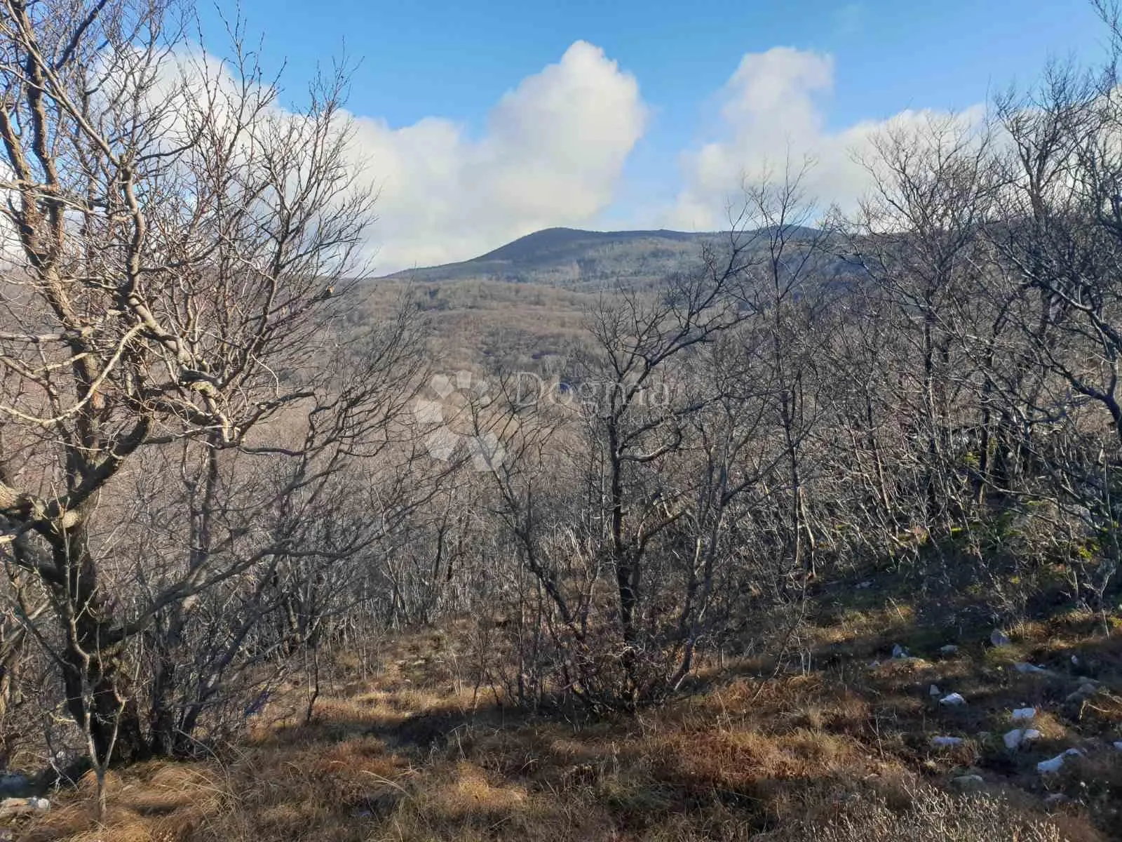 20.000 m2 zemljište hreljin - slika 3
