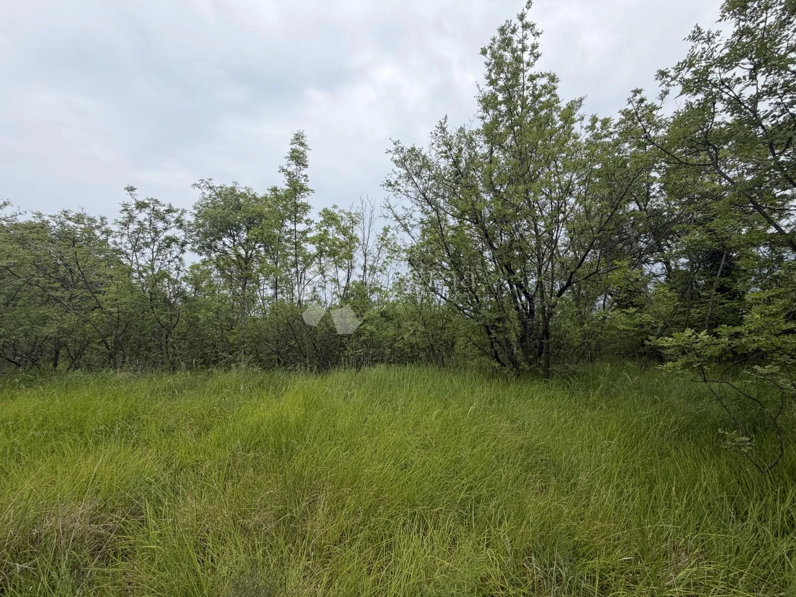 pavlovac, građevinsko zemljište s pogledom na more - slika 5