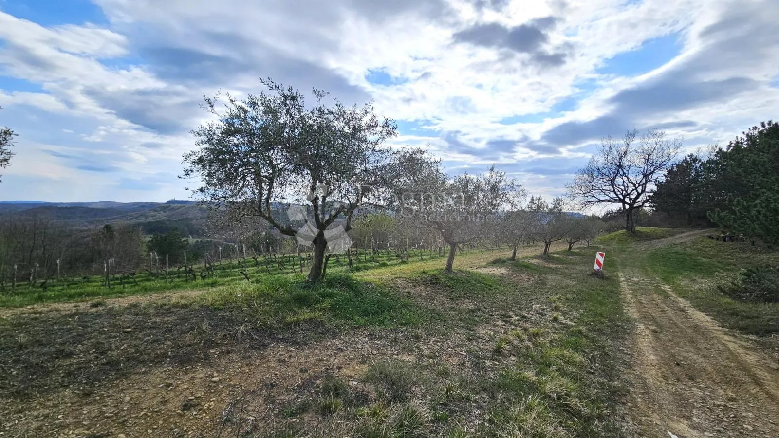 vinograd u oloici pazina - pogled na učku i more - slika 7