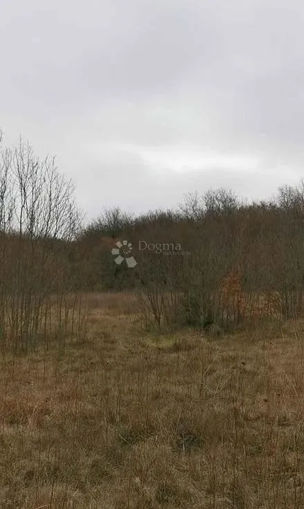 poljoprivredno zemljište 2989m2 - slika 1