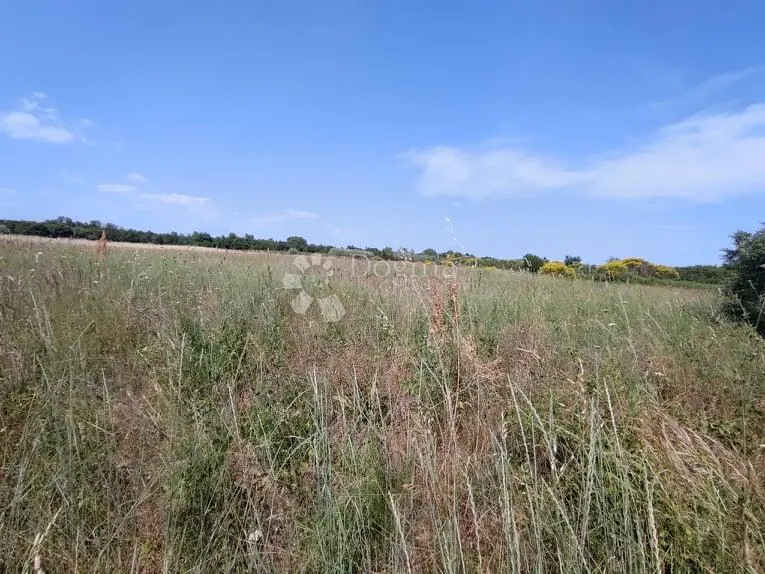 marčana, građevinsko zemljište za stambenu gradju - slika 5