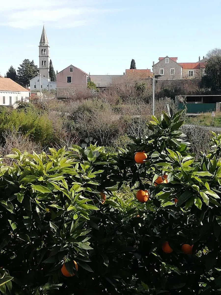 eskluzivna prilika - građevinsko zemljište s projektom za vilu – otok hvar - slika 9