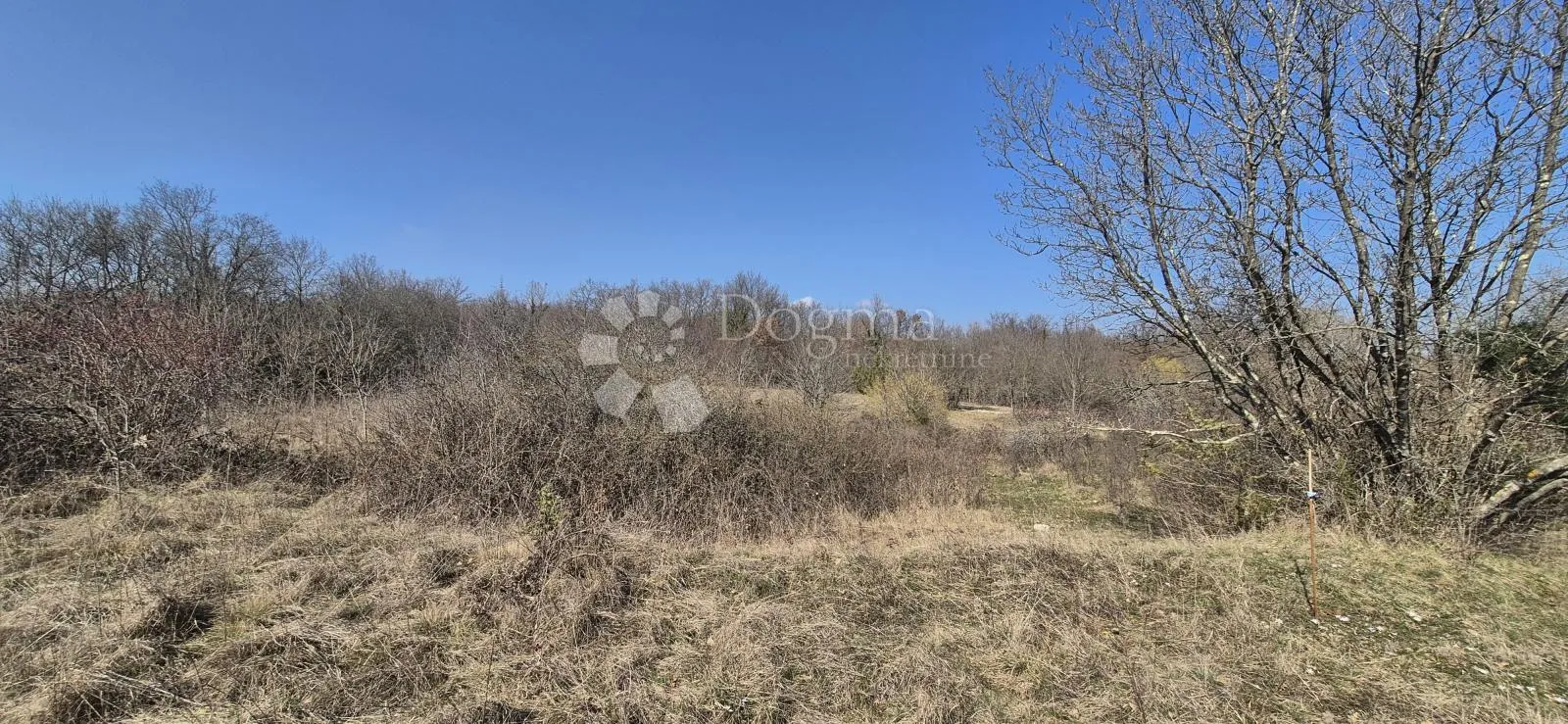 poljoprivredno zemljište površine 7962 m2 - slika 9