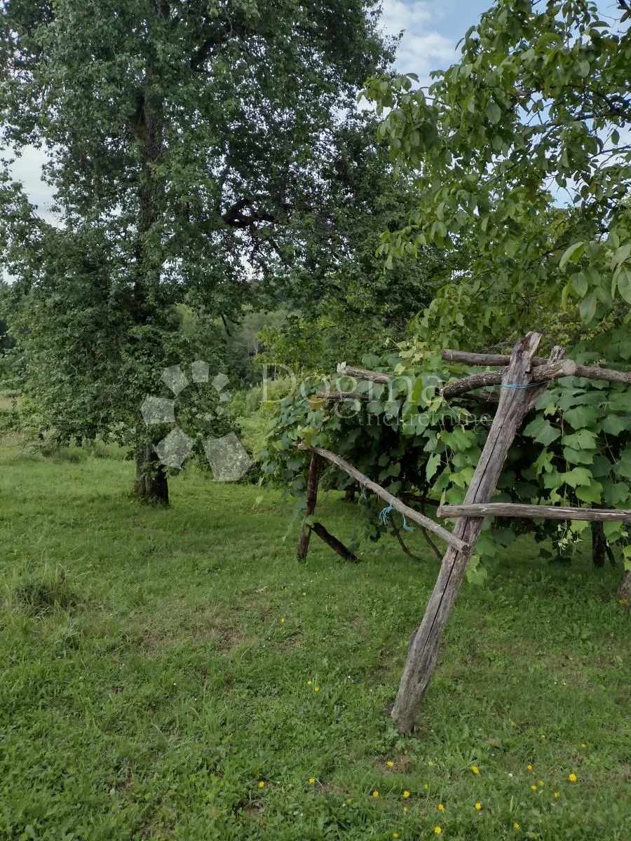 opg imanje, ogromno zemljište, dodatna kućica - slika 26