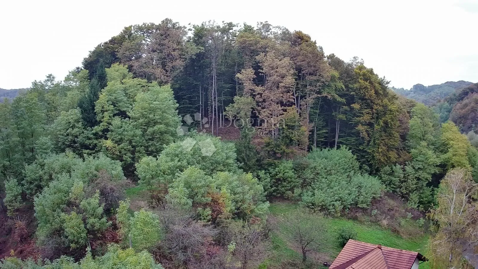 imanje sa odvojenim stambenim prostorima i pomoćnom zgradom! - slika 32