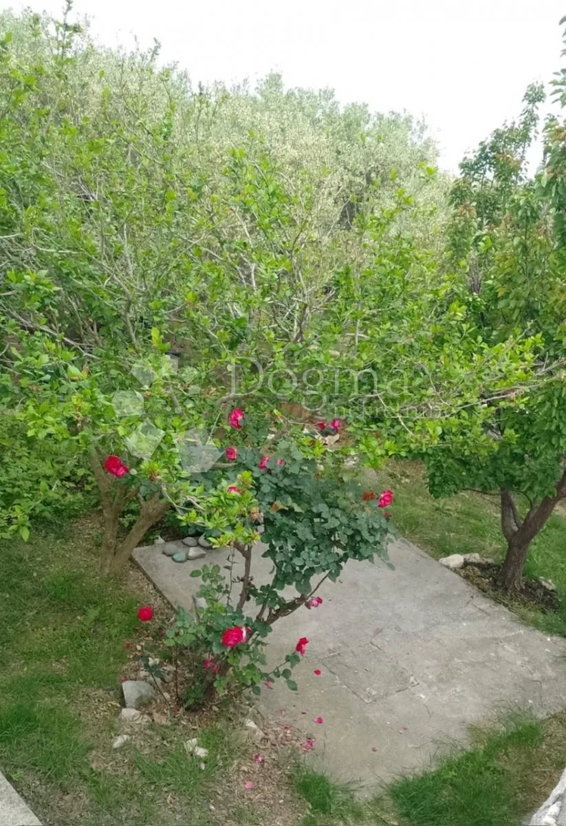 apartmanska kuća - slika 27