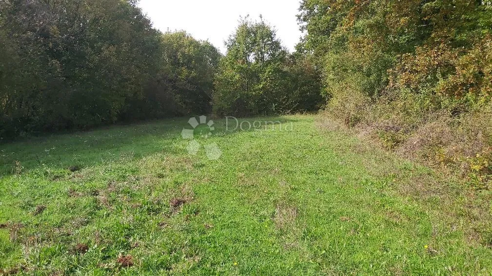 poljoprivredno zemljište u blizini sela - slika 6