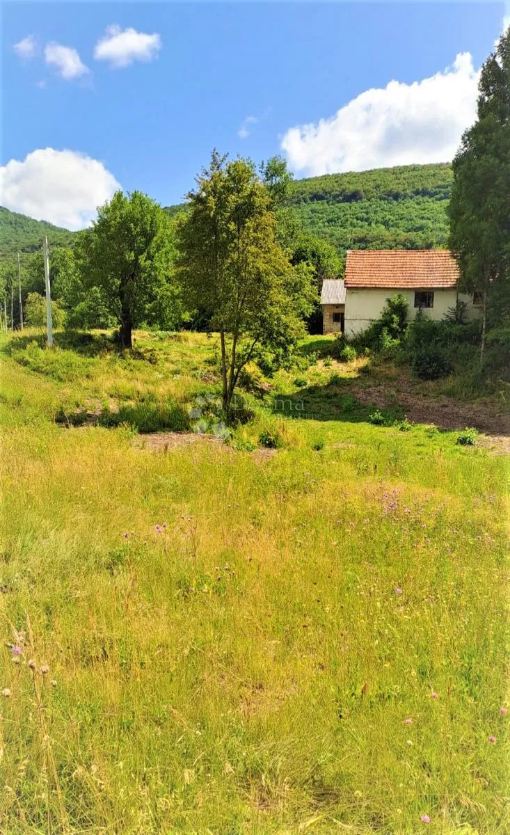 imanje na osami – 28.801m2 prirode, mira i privatnosti - slika 2