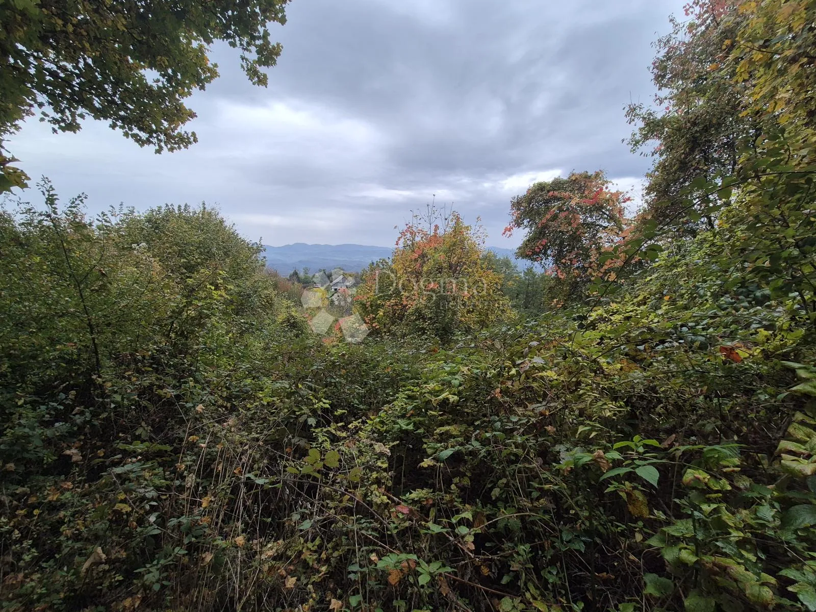 izvanredna prilika za kupnjom posjeda od 125.634m² nadomak slovenije! - slika 6