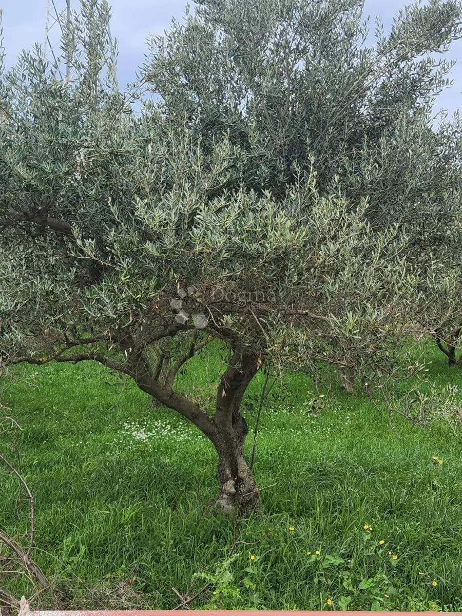gospodarsko proizvodna zona 5291m2 na kili,split - slika 3