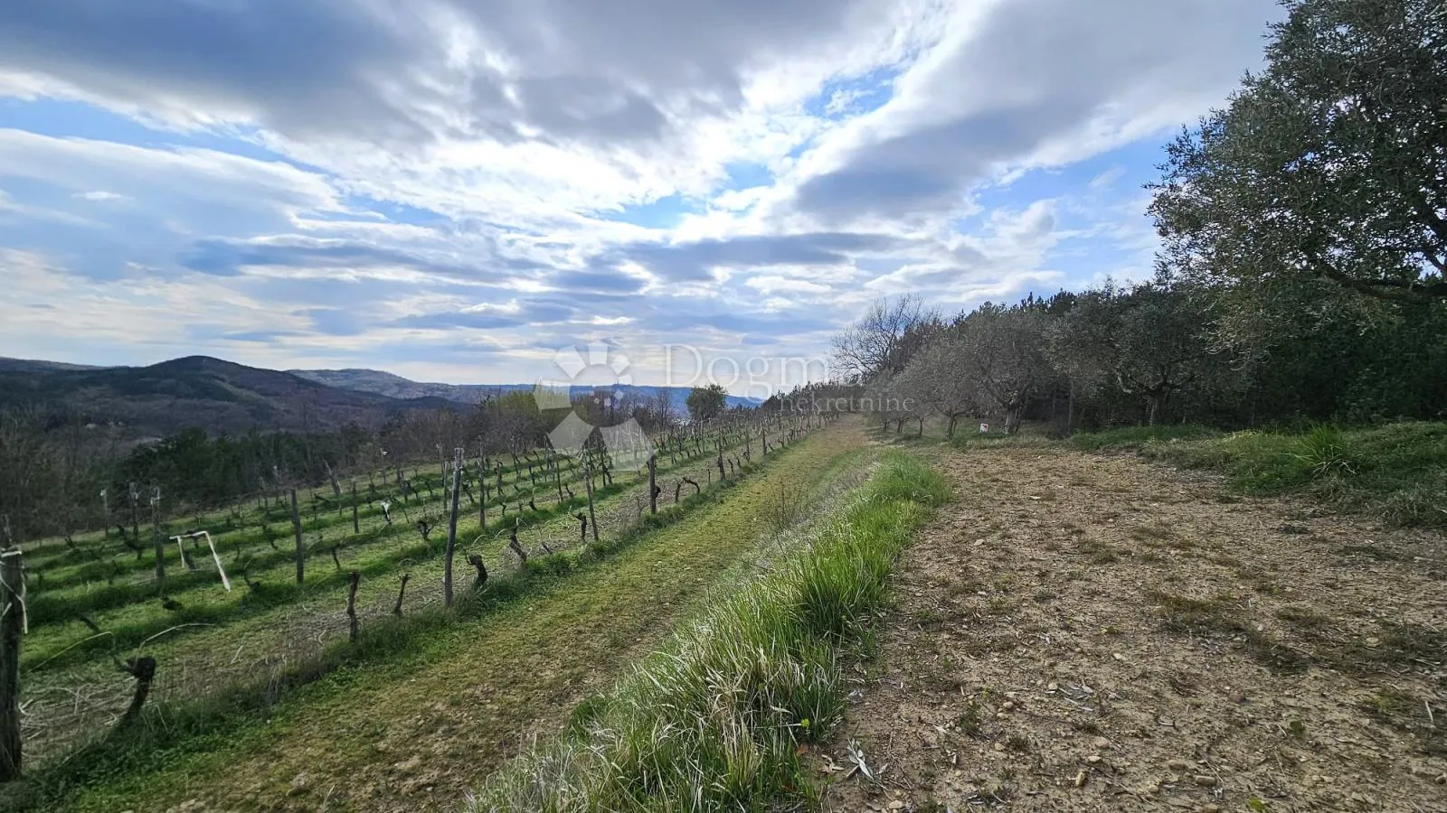 vinograd u oloici pazina - pogled na učku i more - slika 4