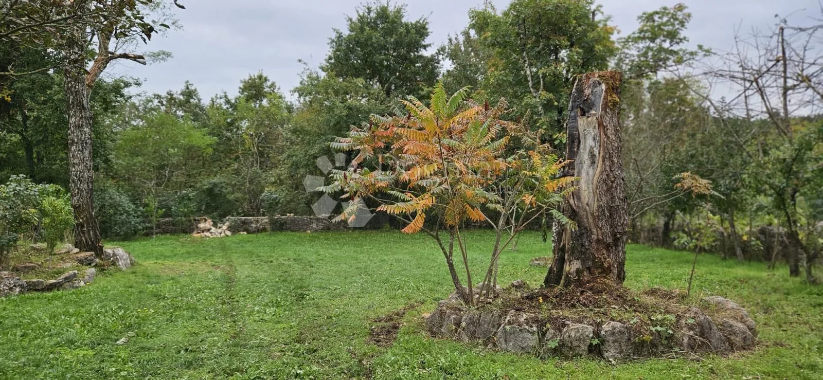 ekskluzivno kuća na osami, okružena šumom - slika 41
