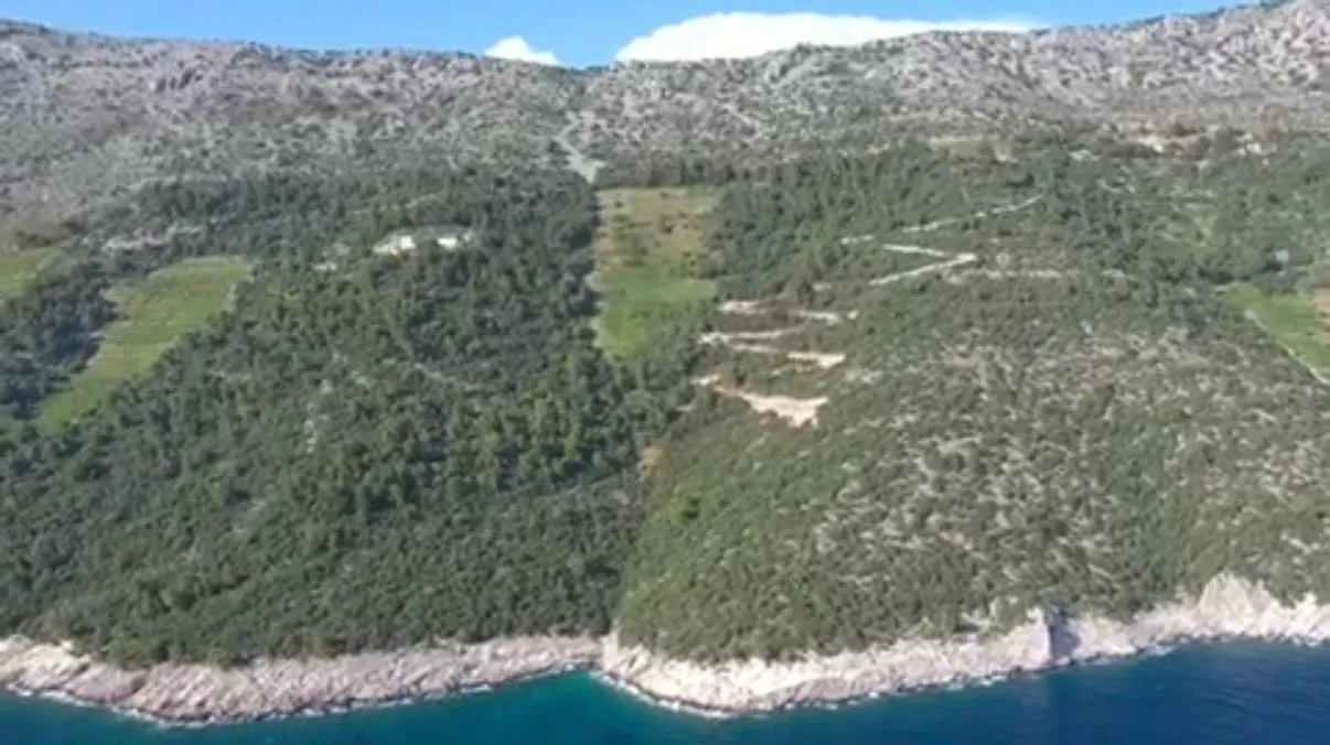 ekskluzivni vinograd dingač – pelješac - slika 2