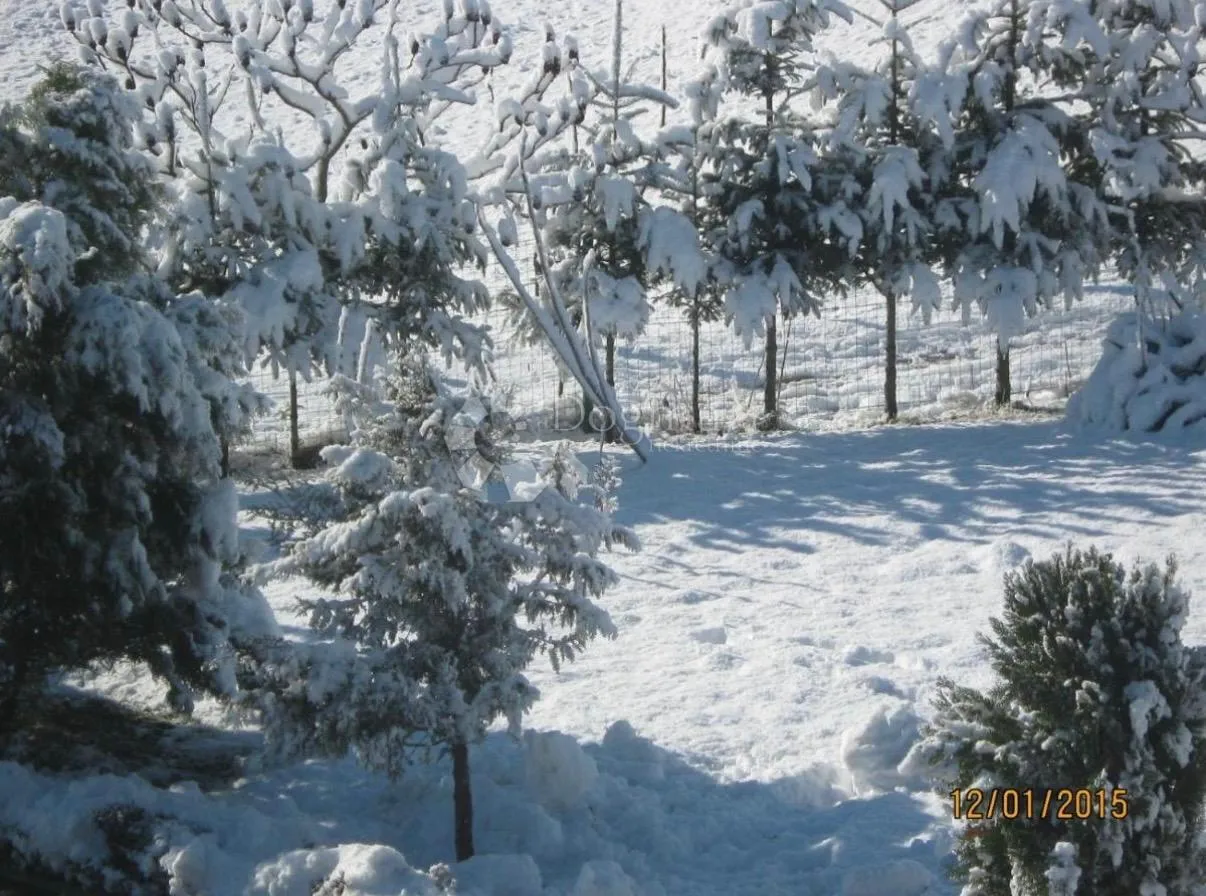 imanje kuće pomoćni objekti i zemlja 10000 m2 - slika 43