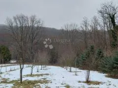 bektež - vinograd s vikendicom u blizini ribnjaka - slika 12