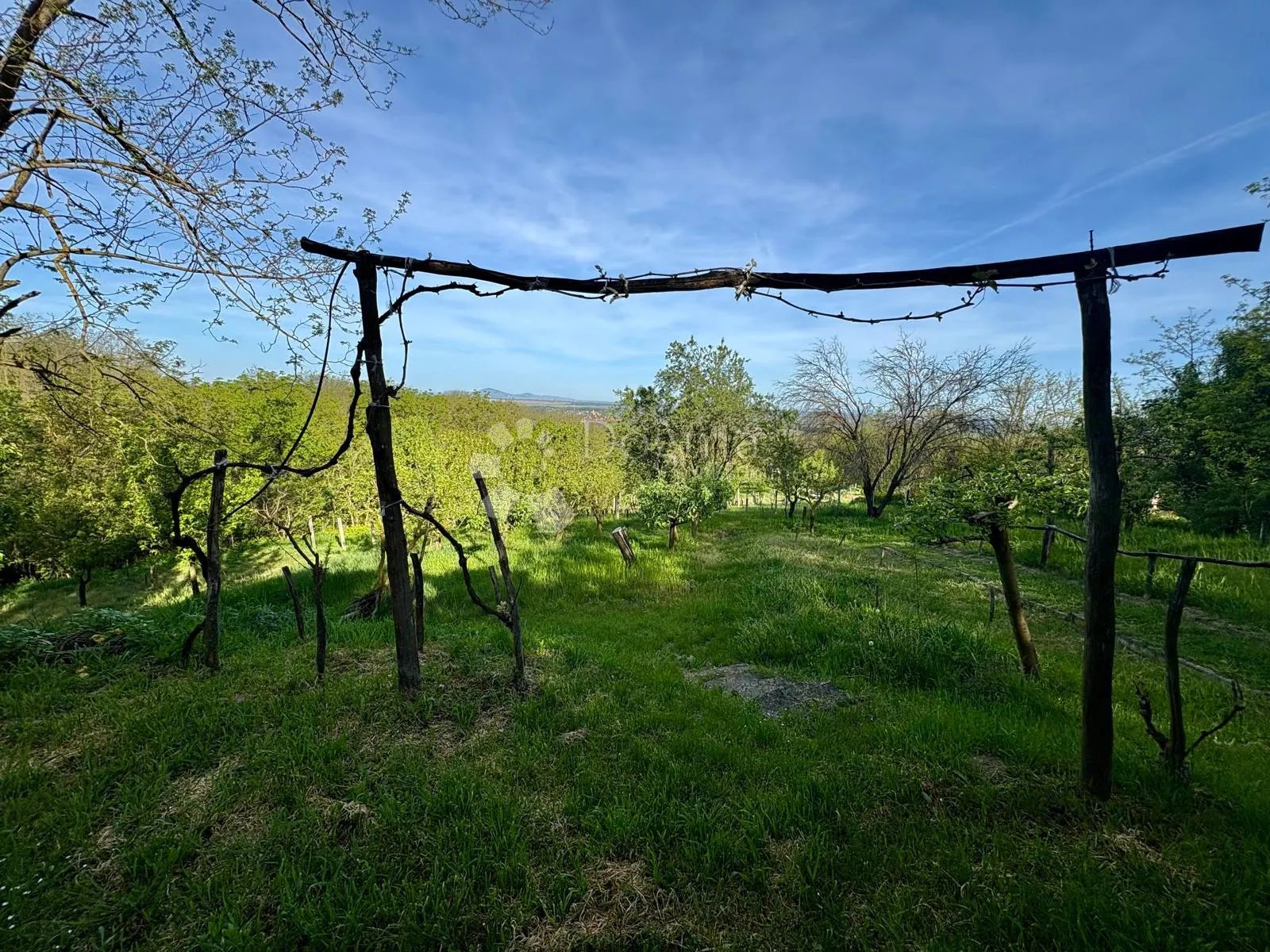oaza mira i privatnosti – vikendica s vinogradom i 3.797 m² okućnice - slika 30