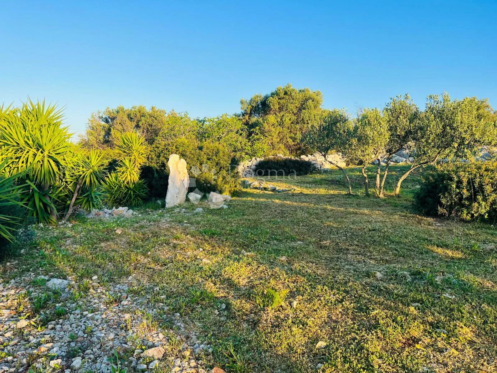 kuća šolta sa građevinskim zemljištem 2850m2 - slika 5