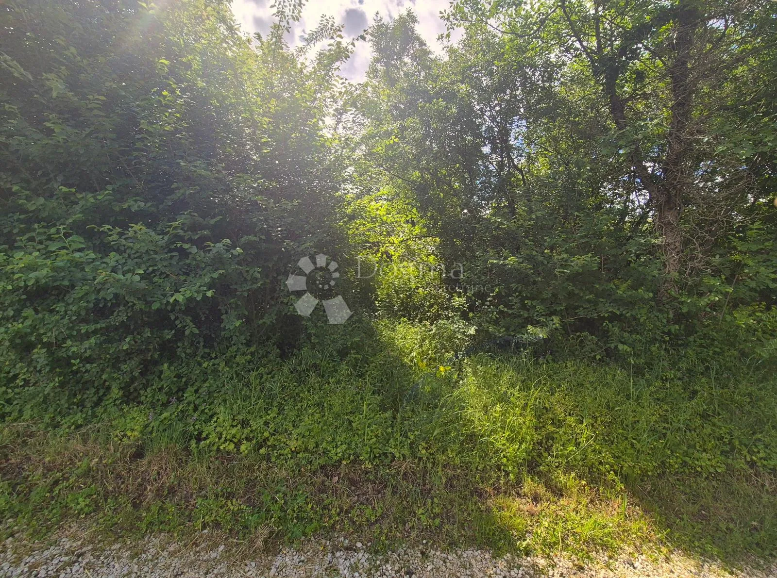 samo u dogmi - građevinsko zemljište sa pogledom - slika 3