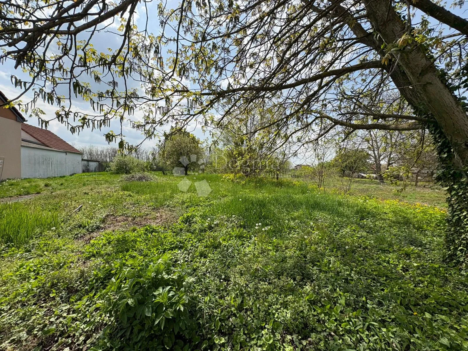 plac 800m2 vukovar - mitnica, idealno za kuću - slika 8