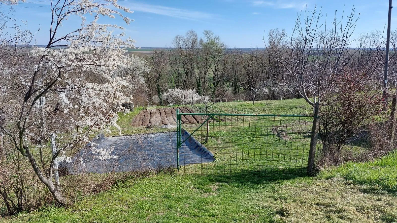 ograđen voćnjak s nasadom oraha i lješnjaka! - slika 8