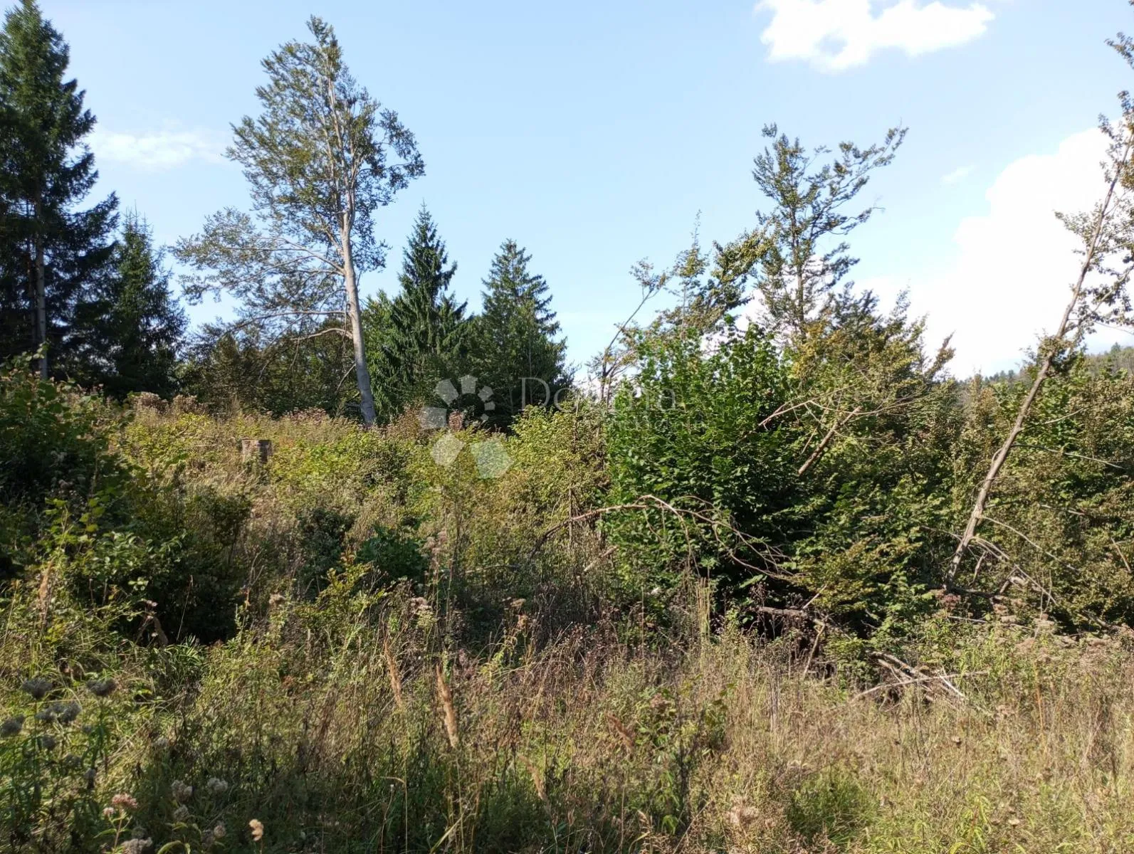 rijetka prilika gorski kotar, delnice 10.500 m2 zemljište za 9 a-frame vikendica - slika 15