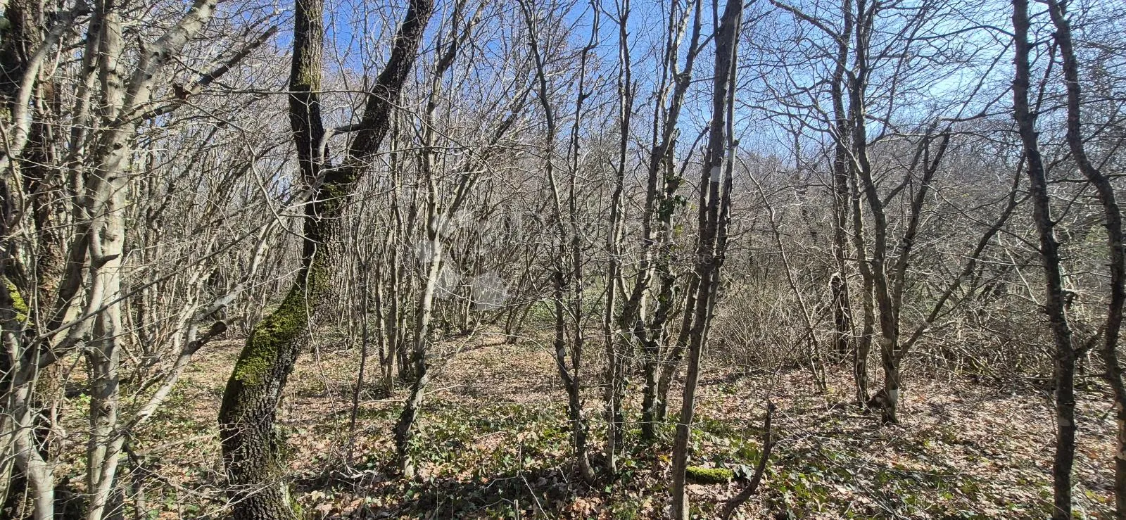 poljoprivredno zemljište površine 23953 m2 sa ogromnim potencijalom - slika 12
