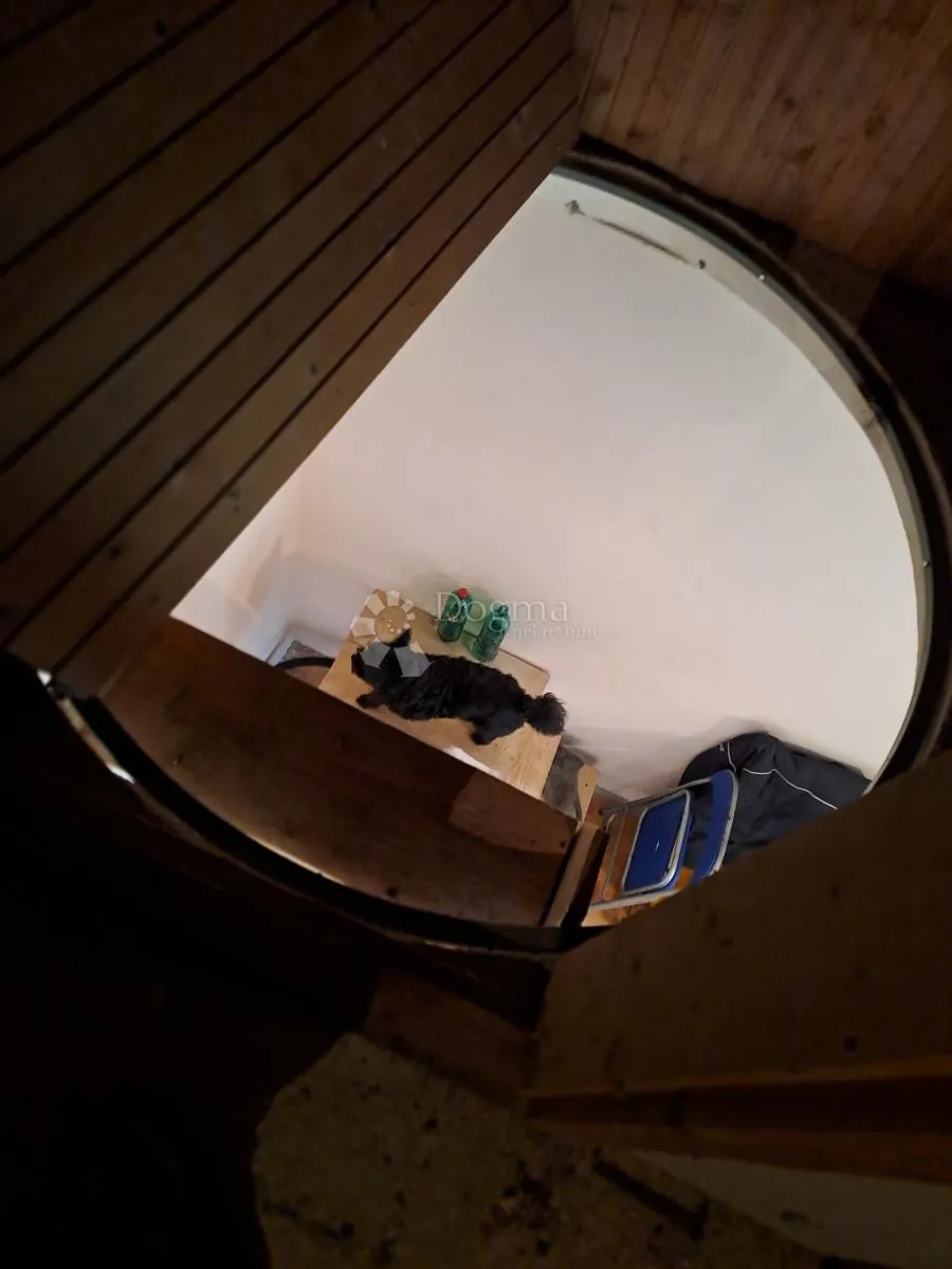 povoljna viksa na vrhu brda - slika 15