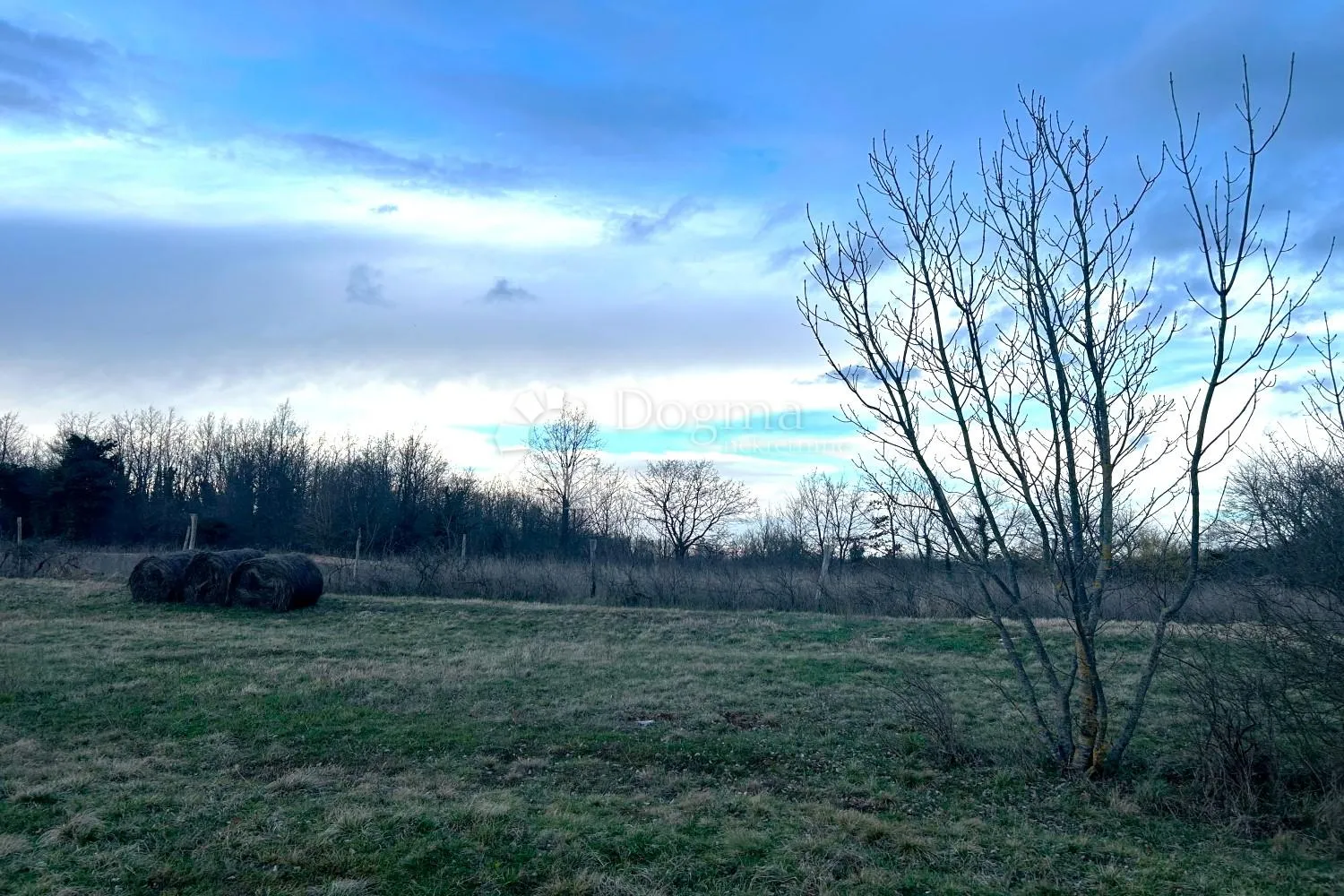 žminj – ravna parcela, prilaz s asfaltne ceste - slika 5